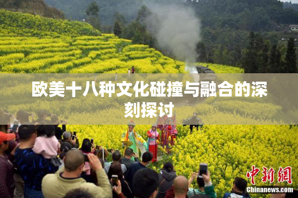 欧美十八种文化碰撞与融合的深刻探讨