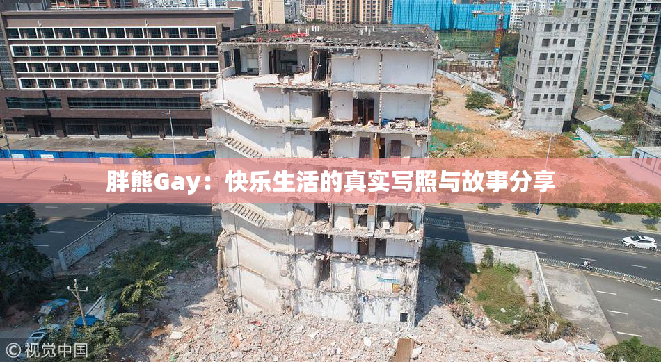 胖熊Gay：快乐生活的真实写照与故事分享