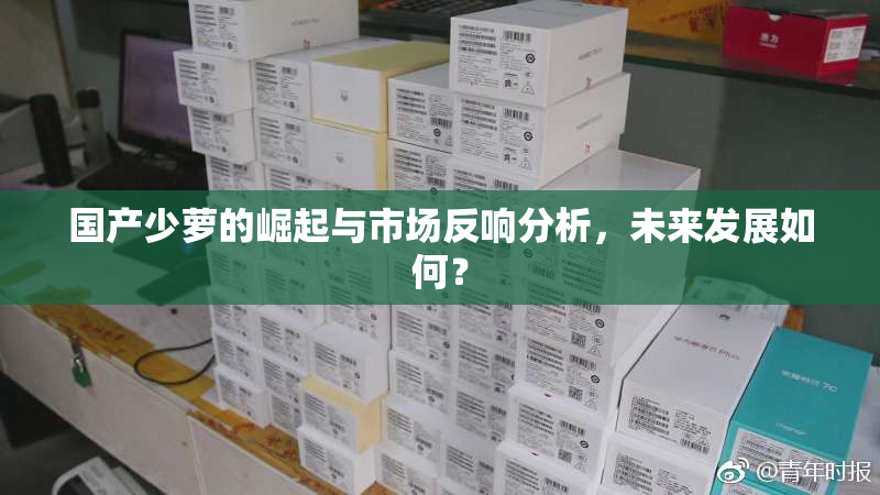 国产少萝的崛起与市场反响分析，未来发展如何？