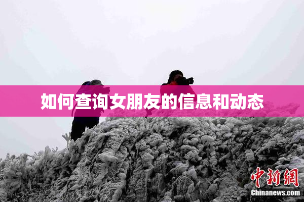 如何查询女朋友的信息和动态