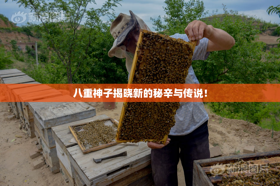 八重神子揭晓新的秘辛与传说！