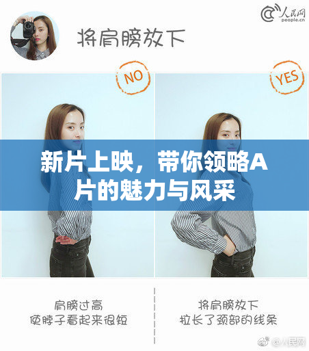 新片上映，带你领略A片的魅力与风采