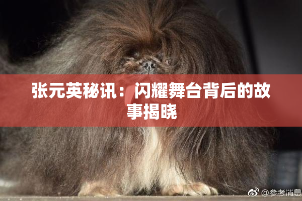 张元英秘讯：闪耀舞台背后的故事揭晓