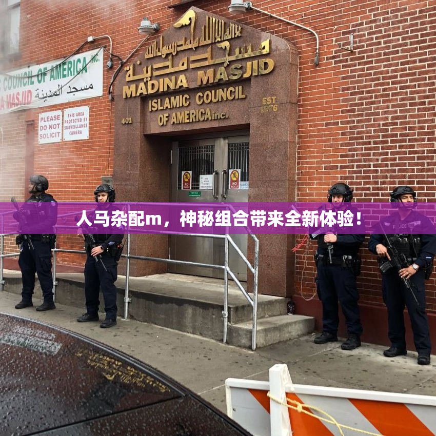 人马杂配m，神秘组合带来全新体验！