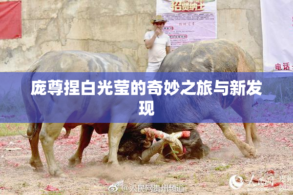 庞尊捏白光莹的奇妙之旅与新发现