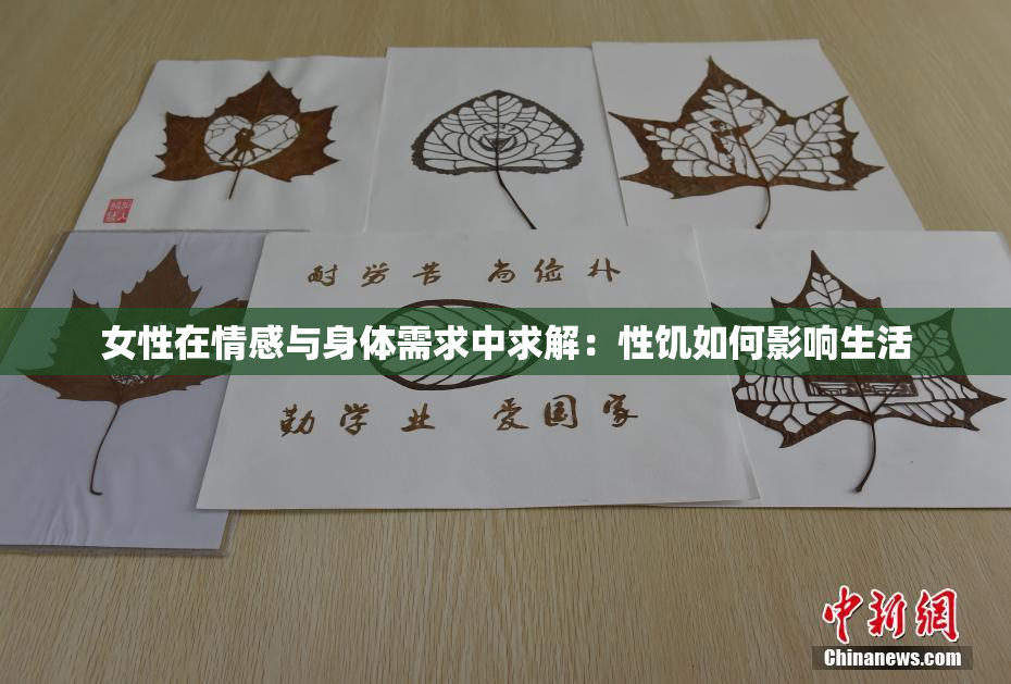 女性在情感与身体需求中求解：性饥如何影响生活