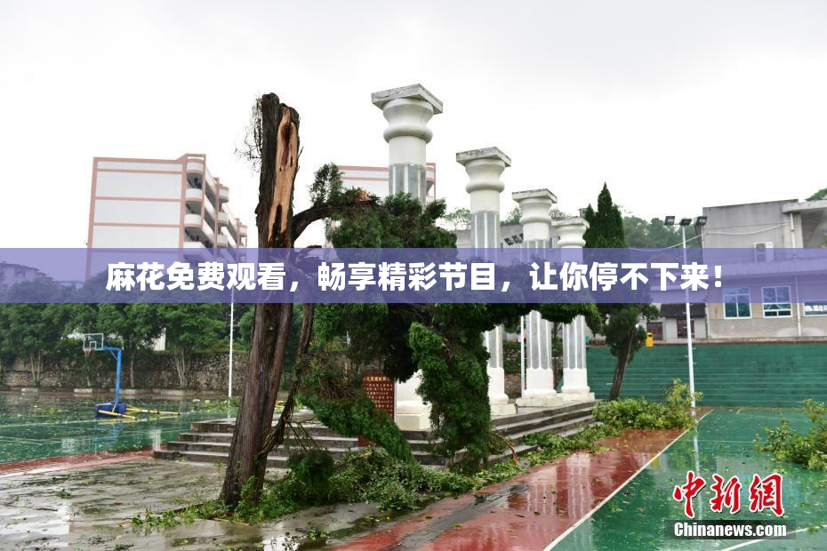 麻花免费观看，畅享精彩节目，让你停不下来！