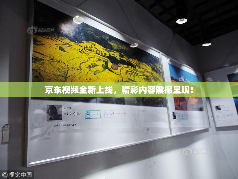 京东视频全新上线，精彩内容震撼呈现！