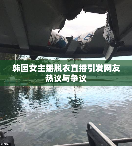 韩国女主播脱衣直播引发网友热议与争议