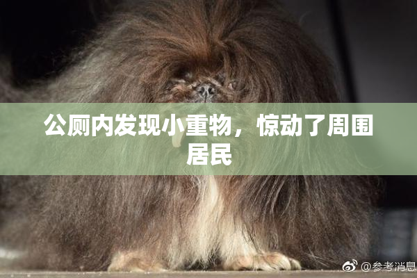 公厕内发现小重物，惊动了周围居民