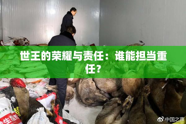 世王的荣耀与责任：谁能担当重任？