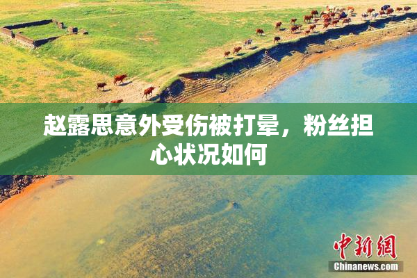 赵露思意外受伤被打晕，粉丝担心状况如何