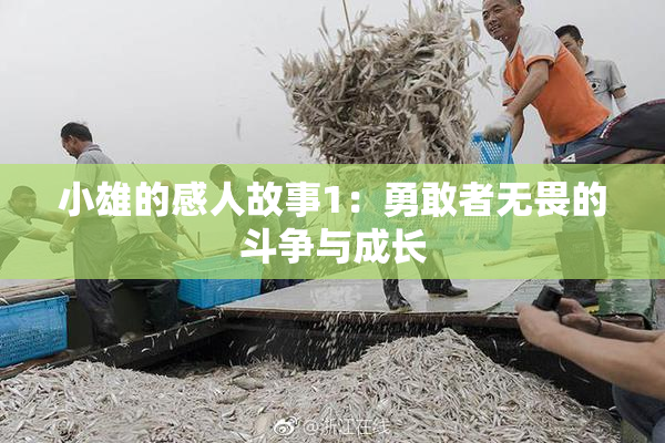 小雄的感人故事1：勇敢者无畏的斗争与成长
