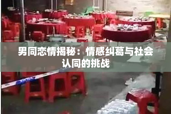 男同恋情揭秘：情感纠葛与社会认同的挑战