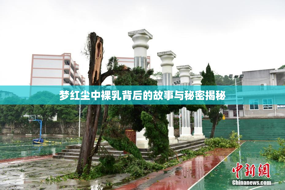 梦红尘中裸乳背后的故事与秘密揭秘