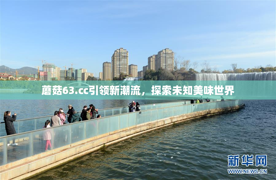 蘑菇63.㏄引领新潮流，探索未知美味世界