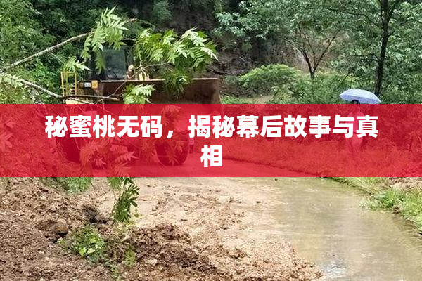 秘蜜桃无码，揭秘幕后故事与真相