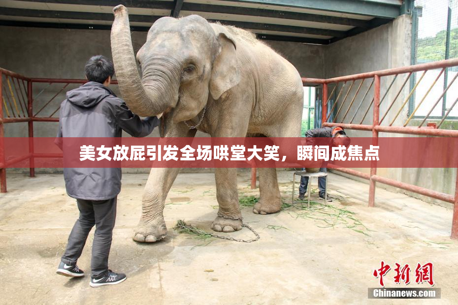 美女放屁引发全场哄堂大笑，瞬间成焦点