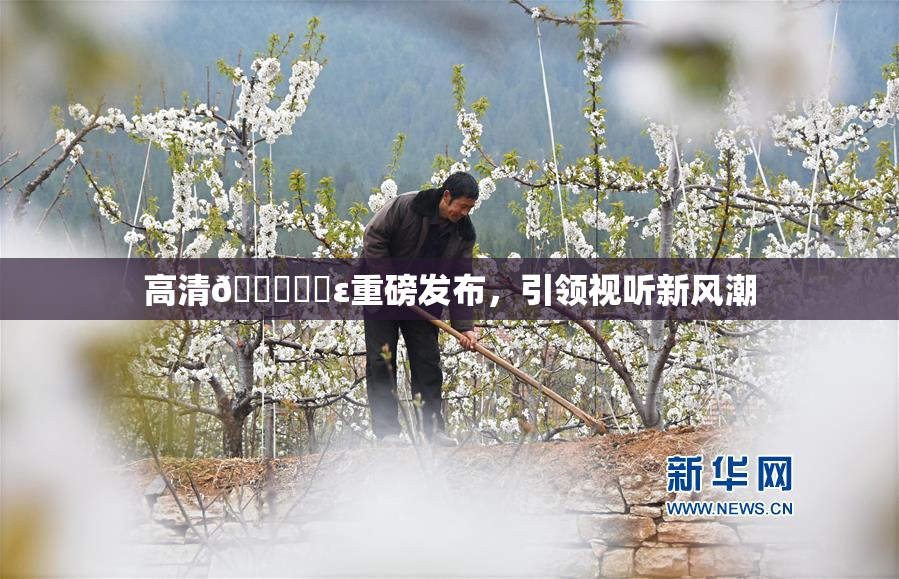 高清🔞❌‌ε重磅发布，引领视听新风潮