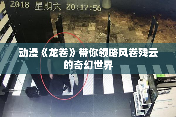 动漫《龙卷》带你领略风卷残云的奇幻世界