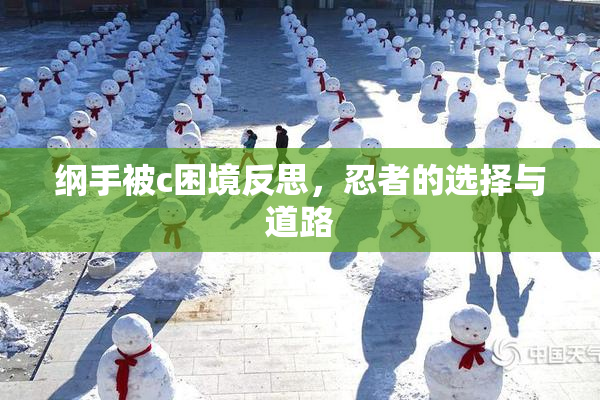 纲手被c困境反思，忍者的选择与道路