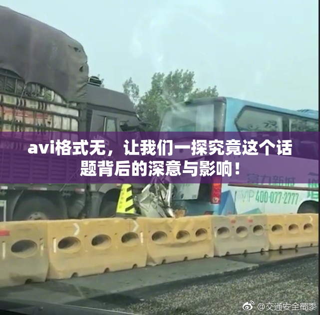avi格式无，让我们一探究竟这个话题背后的深意与影响！