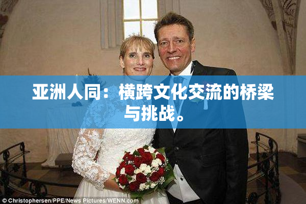 亚洲人同：横跨文化交流的桥梁与挑战。