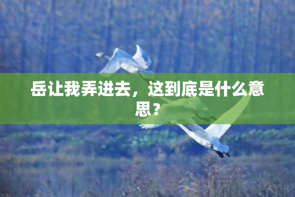 岳让我弄进去，这到底是什么意思？