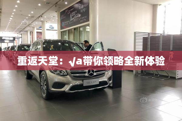 重返天堂：√a带你领略全新体验