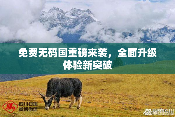 免费无码国重磅来袭，全面升级体验新突破