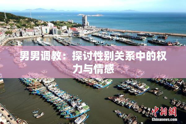 男男调教：探讨性别关系中的权力与情感