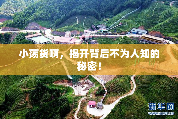 小荡货啊，揭开背后不为人知的秘密！