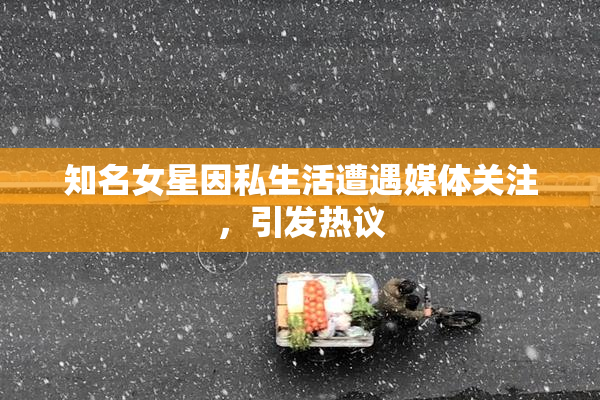 知名女星因私生活遭遇媒体关注，引发热议