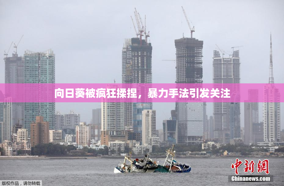 向日葵被疯狂揉捏，暴力手法引发关注
