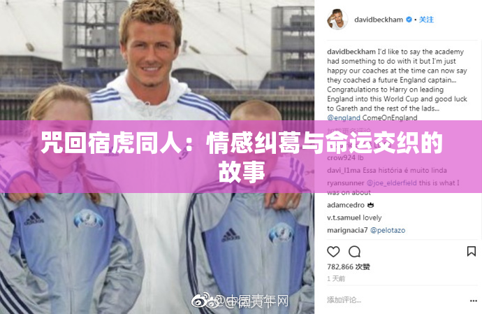咒回宿虎同人：情感纠葛与命运交织的故事
