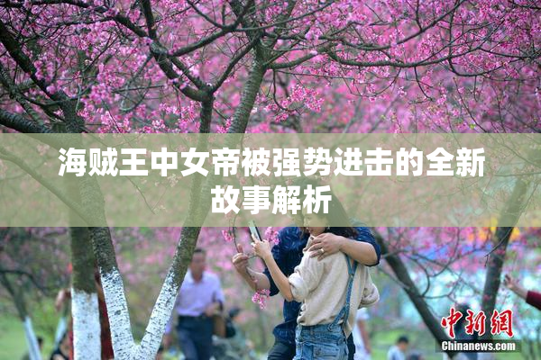 海贼王中女帝被强势进击的全新故事解析
