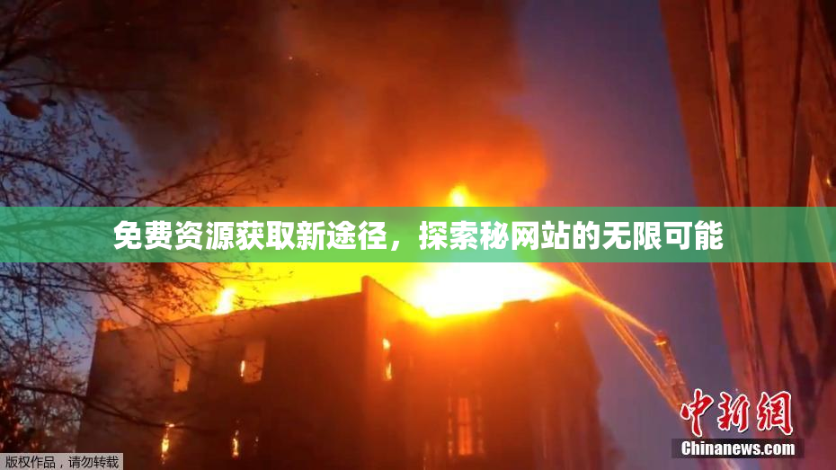 免费资源获取新途径，探索秘网站的无限可能