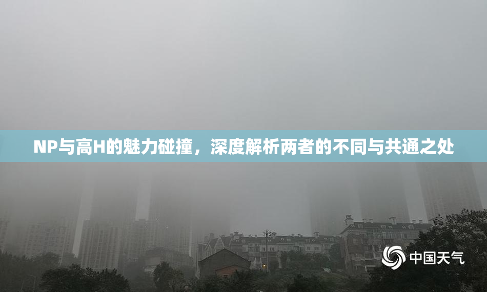 NP与高H的魅力碰撞，深度解析两者的不同与共通之处