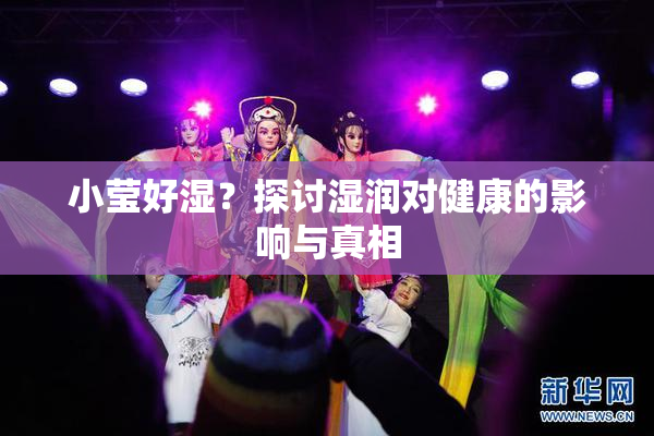 小莹好湿？探讨湿润对健康的影响与真相