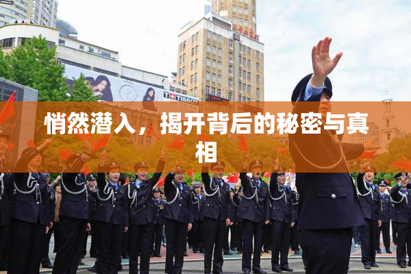 悄然潜入，揭开背后的秘密与真相