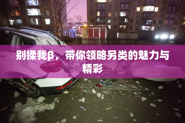 别揉我β，带你领略另类的魅力与精彩