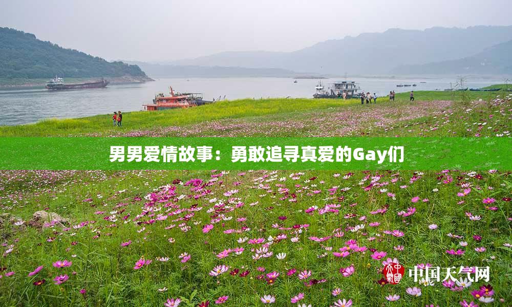 男男爱情故事：勇敢追寻真爱的Gay们