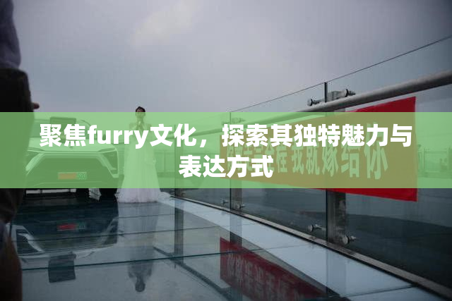 聚焦furry文化，探索其独特魅力与表达方式