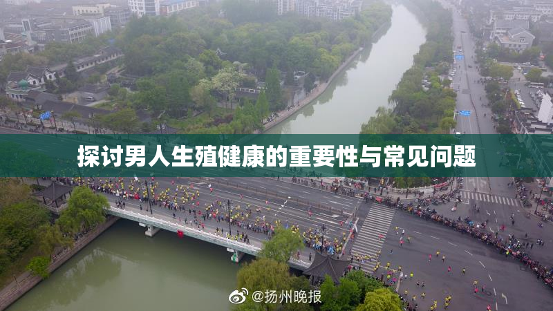 探讨男人生殖健康的重要性与常见问题