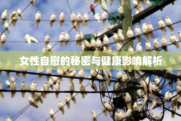女性自慰的秘密与健康影响解析