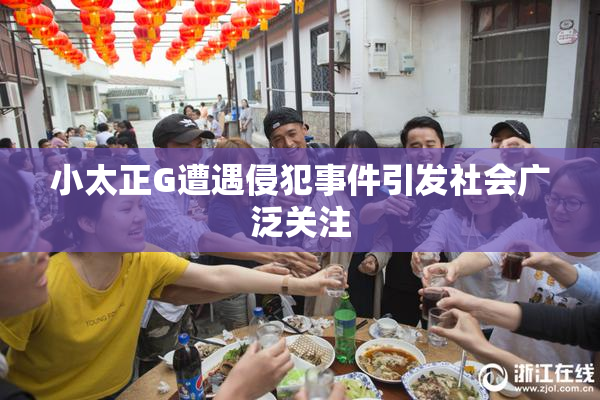 小太正G遭遇侵犯事件引发社会广泛关注