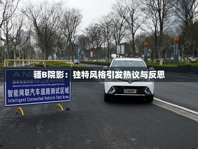 骚B院影：独特风格引发热议与反思