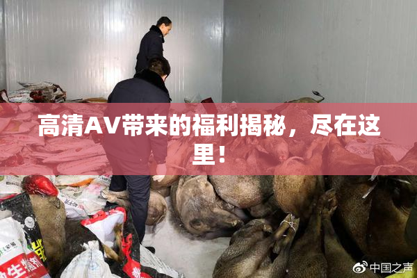 高清AV带来的福利揭秘，尽在这里！