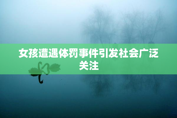 女孩遭遇体罚事件引发社会广泛关注