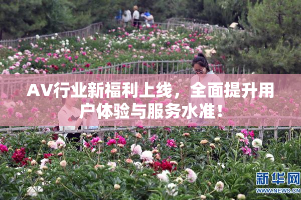 AV行业新福利上线，全面提升用户体验与服务水准！